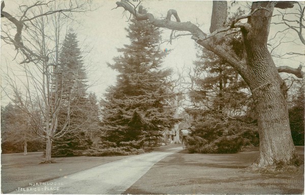 postcard