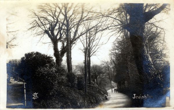 postcard