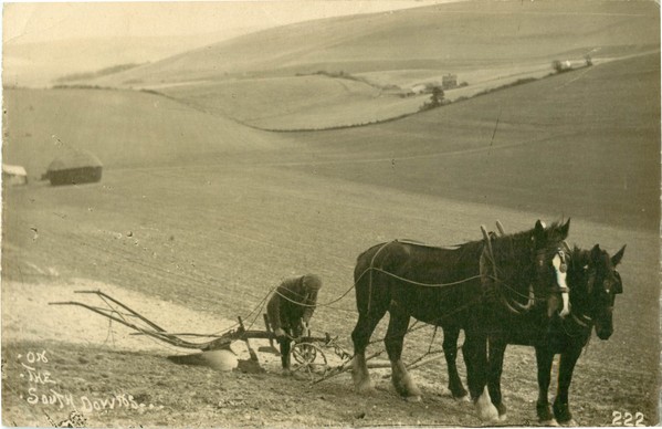 postcard