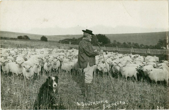 postcard
