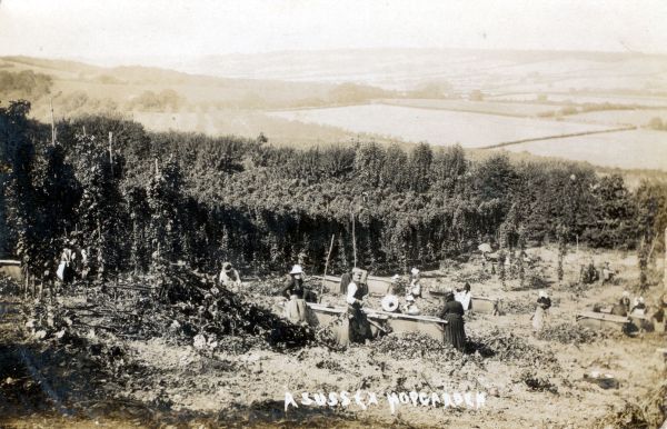 postcard