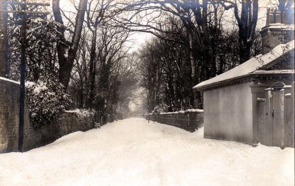 postcard