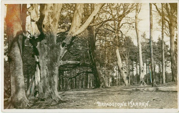 postcard