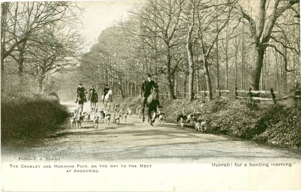 postcard