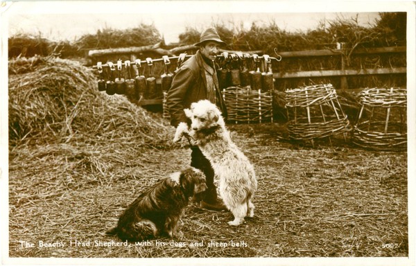 postcard