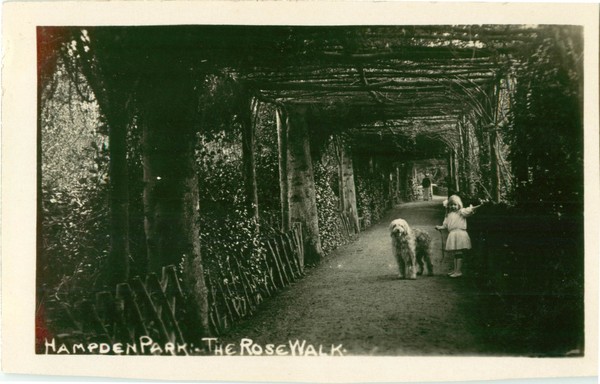 postcard