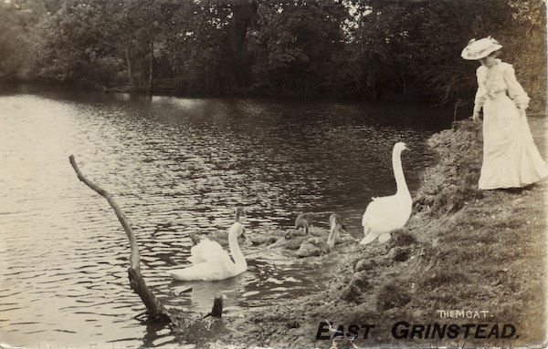 postcard
