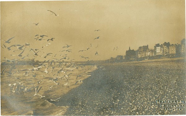 postcard