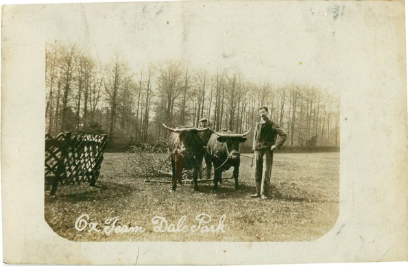 postcard